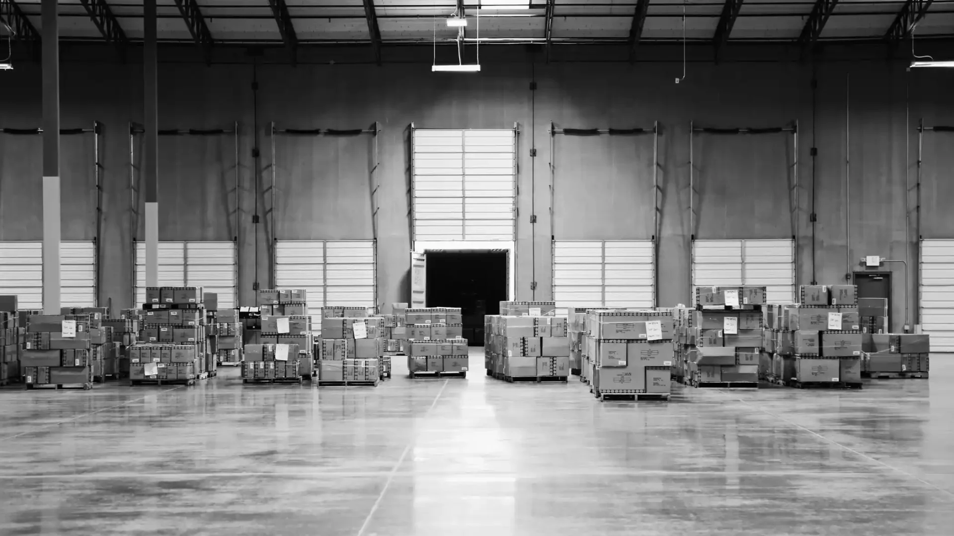 Empty modern warehouse interior with high ceilings and pallet storage ready for operations
